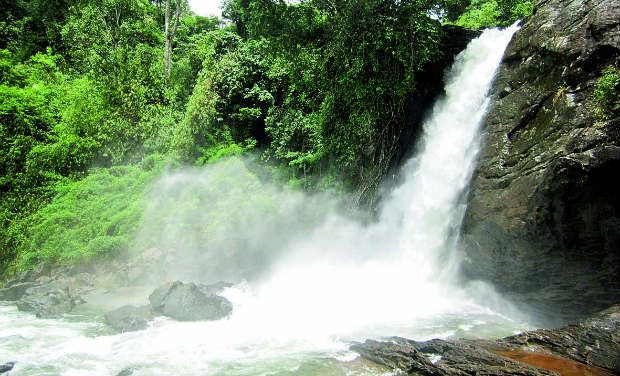 Bangalore –Wayanad- Coorg