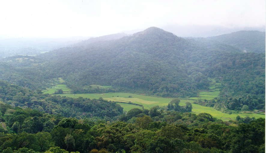 Bangalore – Mysore –Wayanad- Coorg