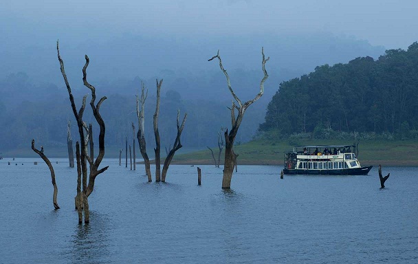 Munnar- Thekkady