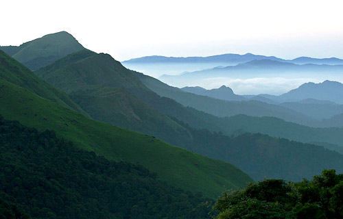 Cochin-Wayanad-Ooty